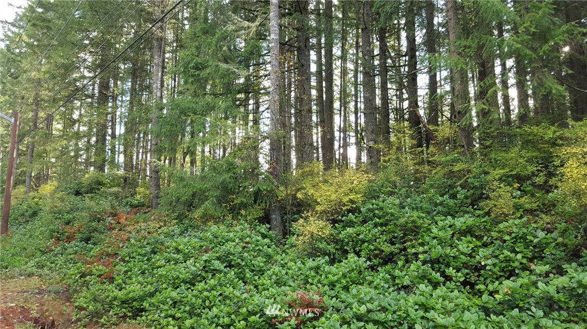 0 Fagarud Road Olalla, WA 98359 - Photo 1 of 2 Gallery Image 1