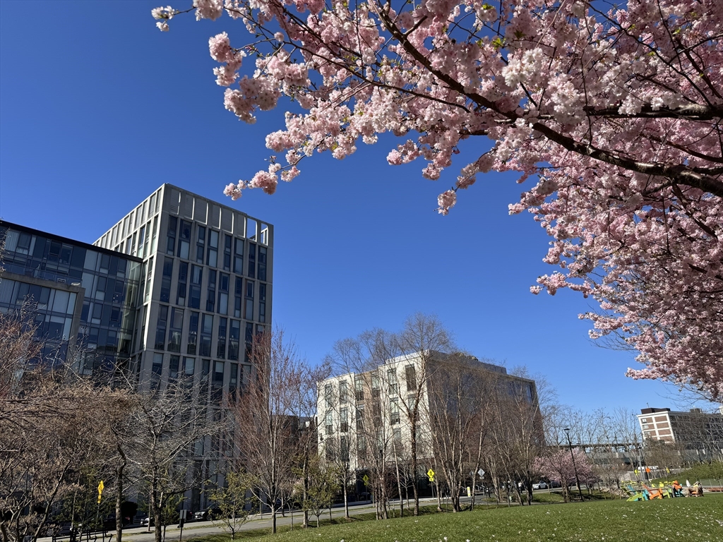 1 Earhart Street, Unit 702 Cambridge, MA 02141 - Photo 11 of 19 a view of a building