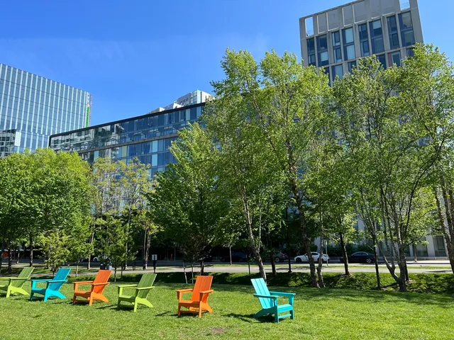 a view of a park with large trees