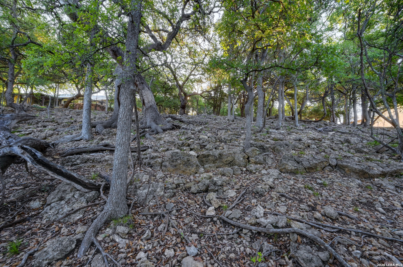 315 Rittimann Road Spring Branch, TX 78070 - Photo 50 of 51