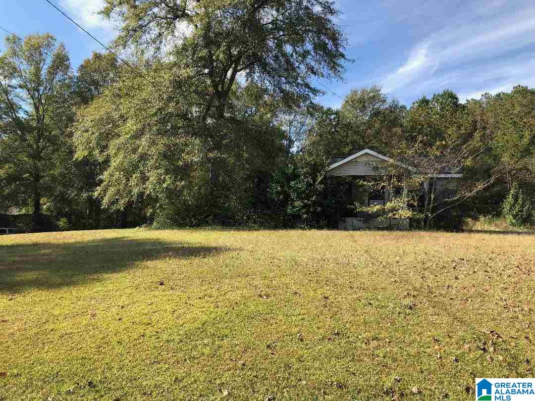 980 Turner Road, Unit ADJOINING PARCELS Anniston, AL 36201 - Photo 5 of 17