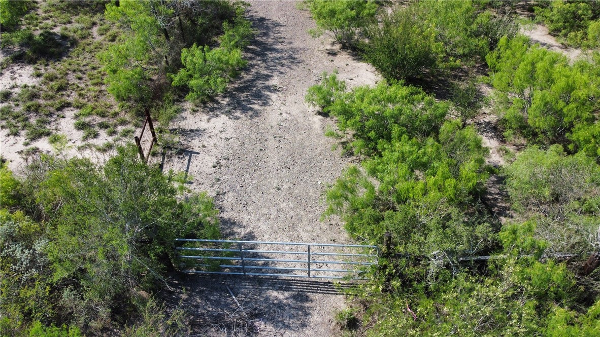 Tbd Jd White Road Freer, TX 78357 - Photo 2 of 9