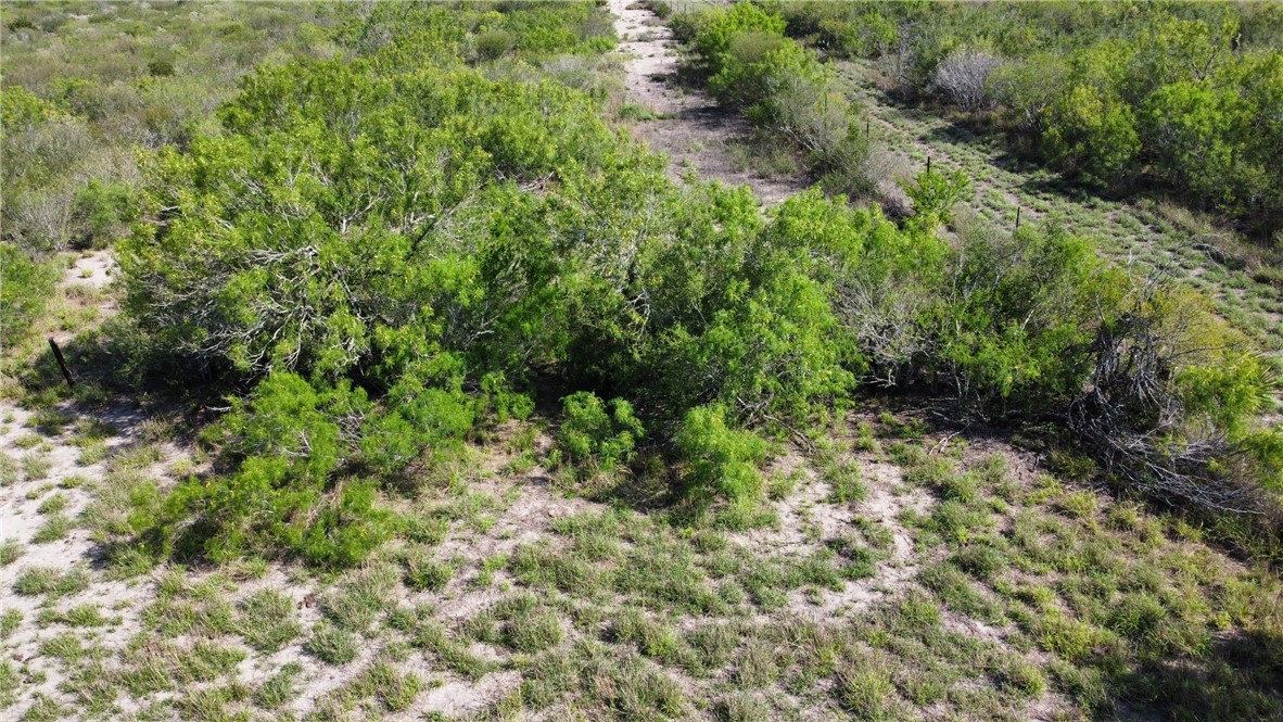 Tbd Jd White Road Freer, TX 78357 - Photo 3 of 9