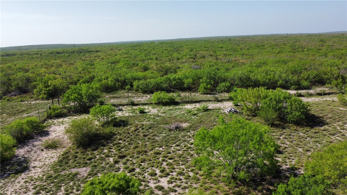 Tbd Jd White Road Freer, TX 78357 - Photo 4 of 9