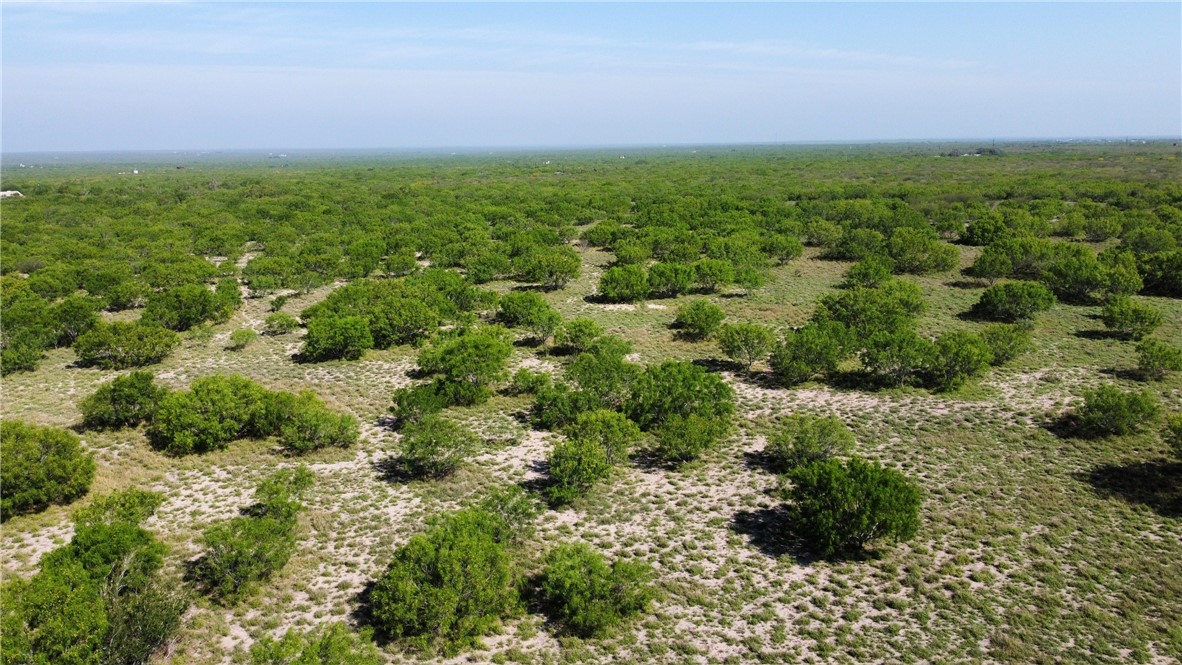 Tbd Jd White Road Freer, TX 78357 - Photo 5 of 9