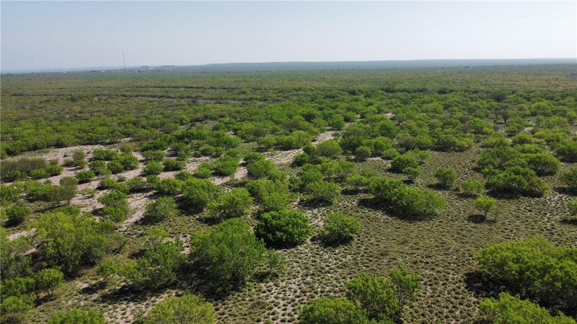 Tbd Jd White Road Freer, TX 78357 - Photo 6 of 9