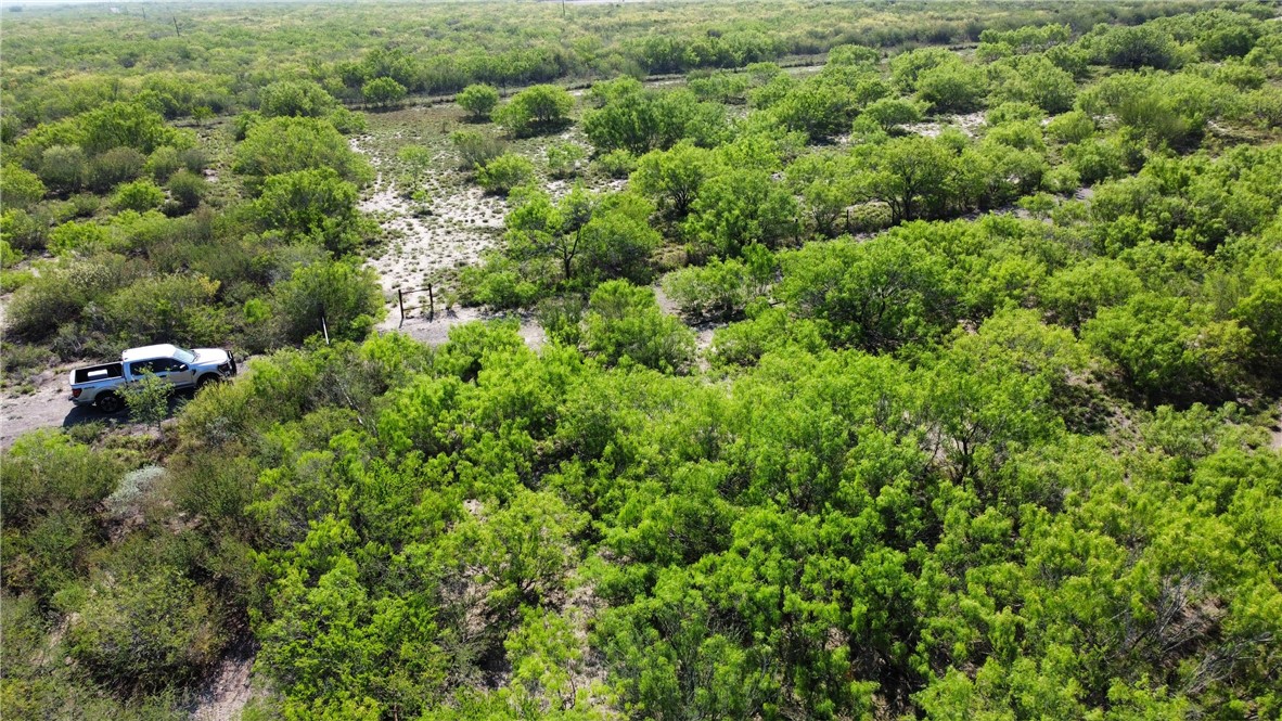 Tbd Jd White Road Freer, TX 78357 - Photo 7 of 9