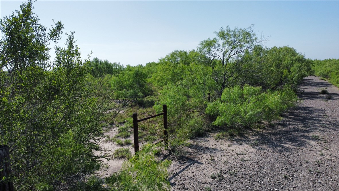 Tbd Jd White Road Freer, TX 78357 - Photo 8 of 9