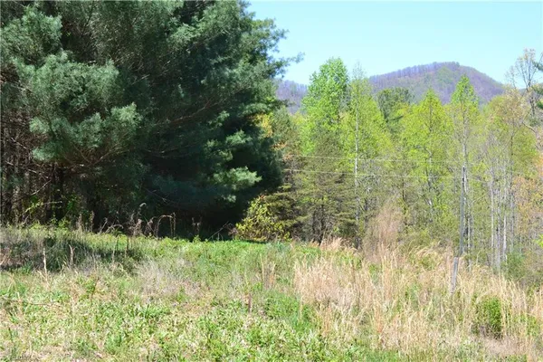 $37,500 | 0 Swaringen Road, Traphill, NC 28685