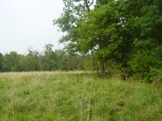 South Ripl SOUTH Ripl Road Dover, KY 41034 - Photo 10 of 14 Gallery Image 10
