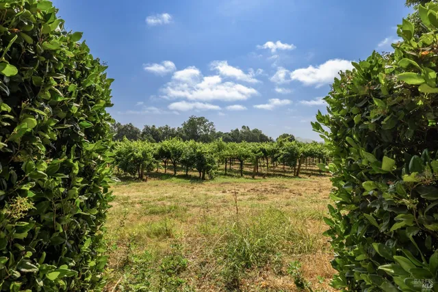 $39,000 | 989 Rutherford Road, Napa, CA 94558