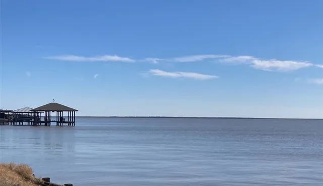 a close up of a flower in a garden