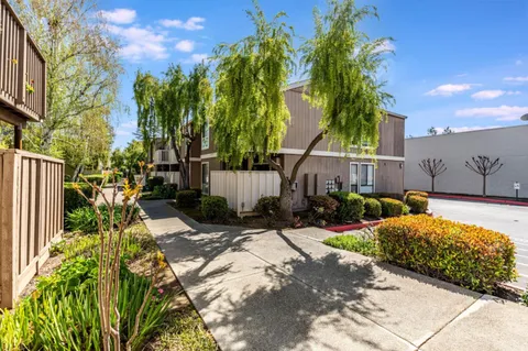 a view of a backyard with potted plants and large tree
