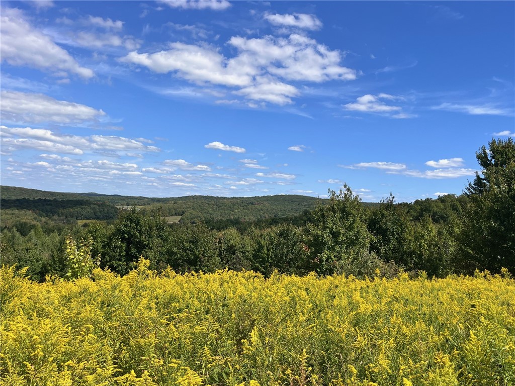 10005 Sawmill Run Road Napoli, NY 14755 - Photo 23 of 43 Gallery Image 23