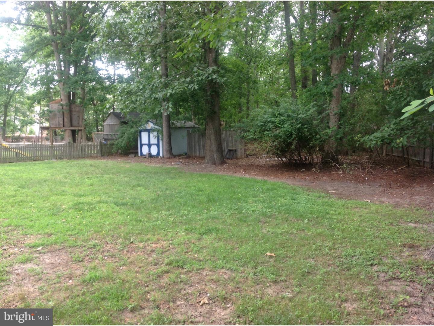 16 Oniontown Road Medford, NJ 08055 - Photo 23 of 25 a view of a yard with a trees