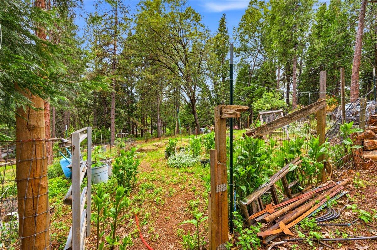12669 Greenfields Way Grass Valley, CA 95945 - Photo 24 of 29