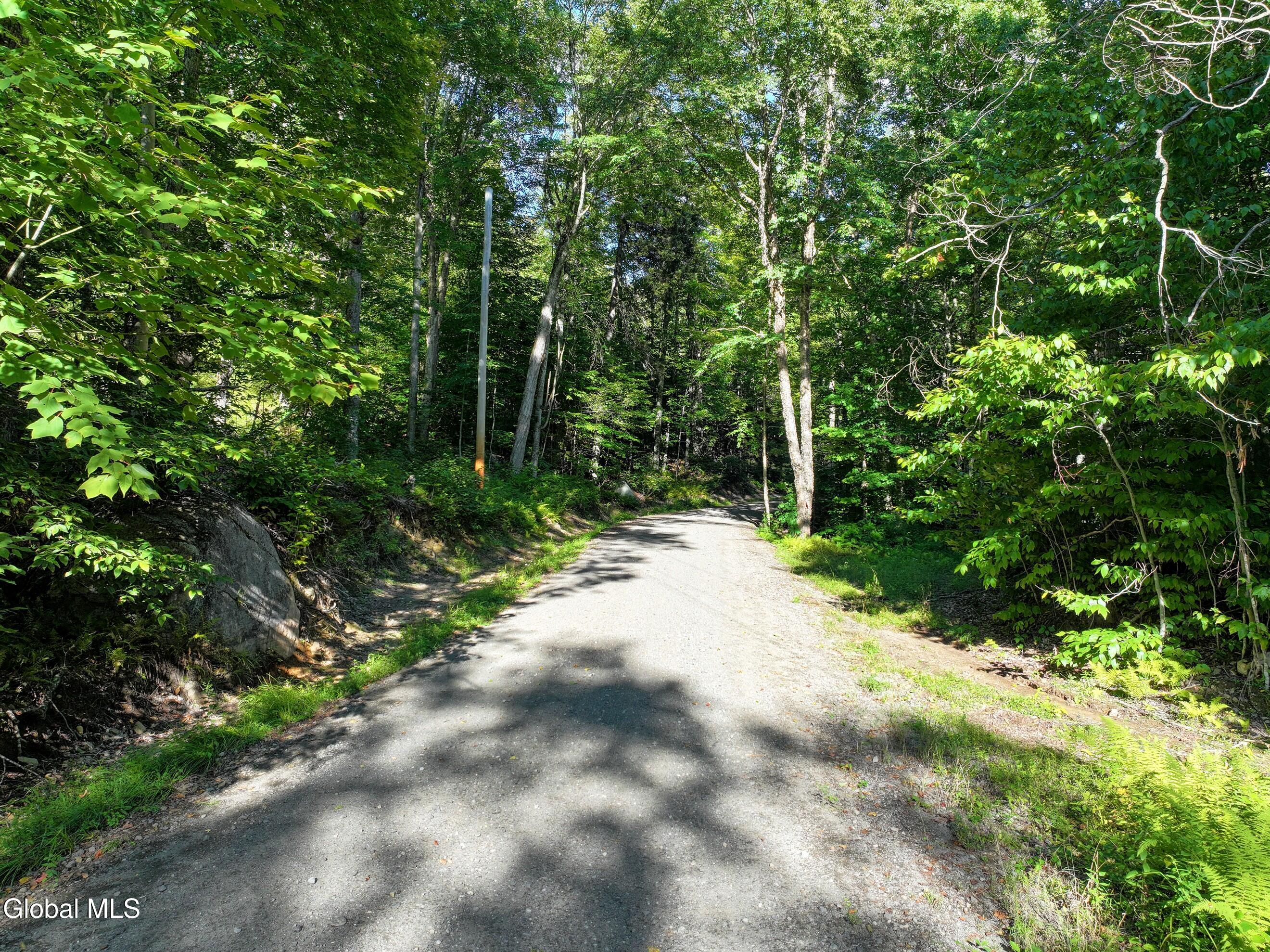 427 Woody's Road Newcomb, NY 12852 - Photo 13 of 15 DJI_20250825165441_0627_D-2 (Copy)