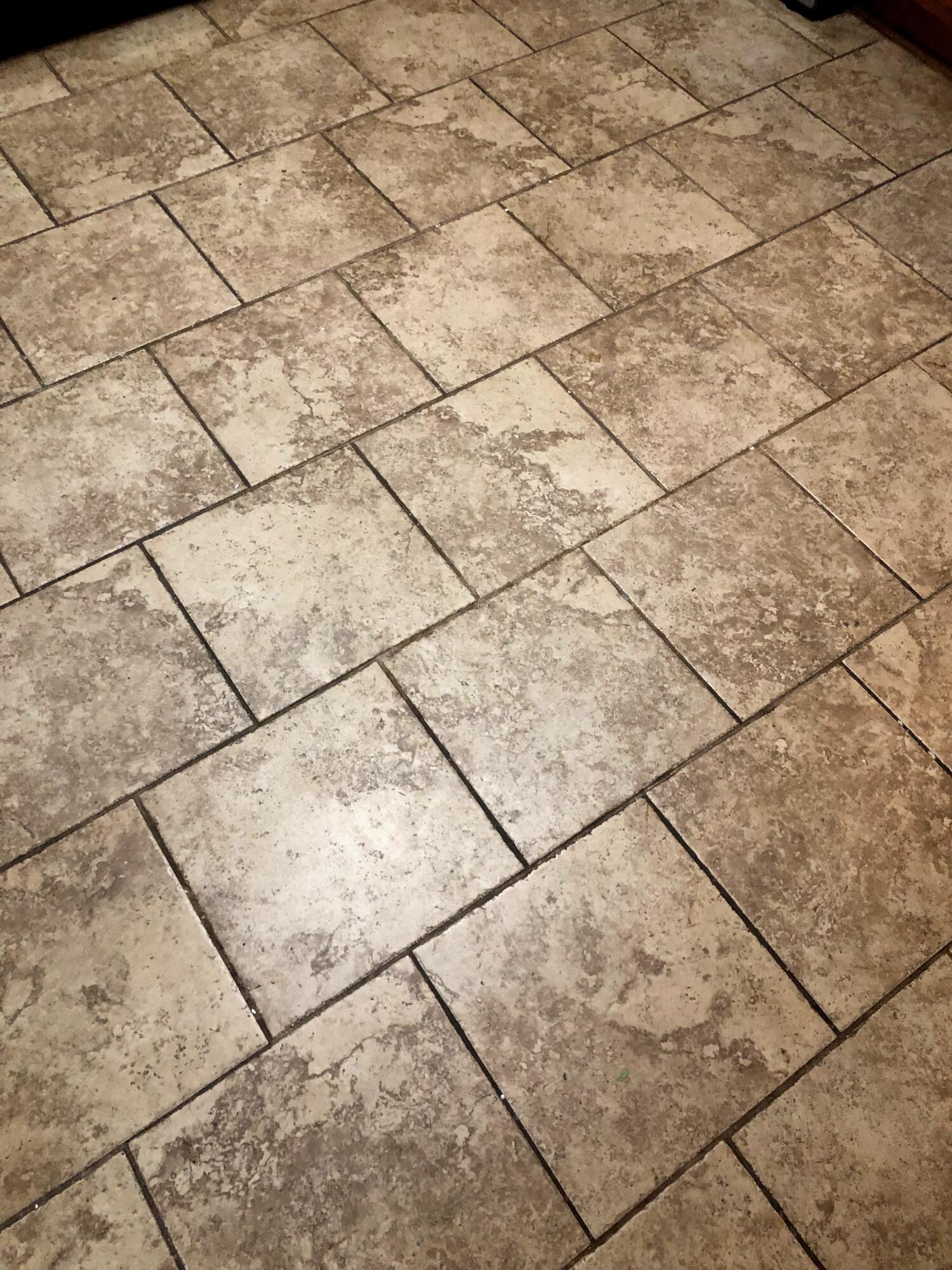 3175 Greenbo Road Lexington, KY 40515 - Photo 8 of 23 064