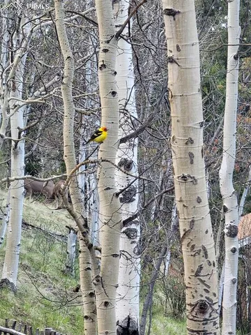 a view of lake with mountain