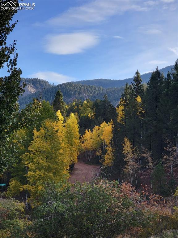 325 Willow Road Divide, CO 80814 - Photo 45 of 45 a view of lake with mountain