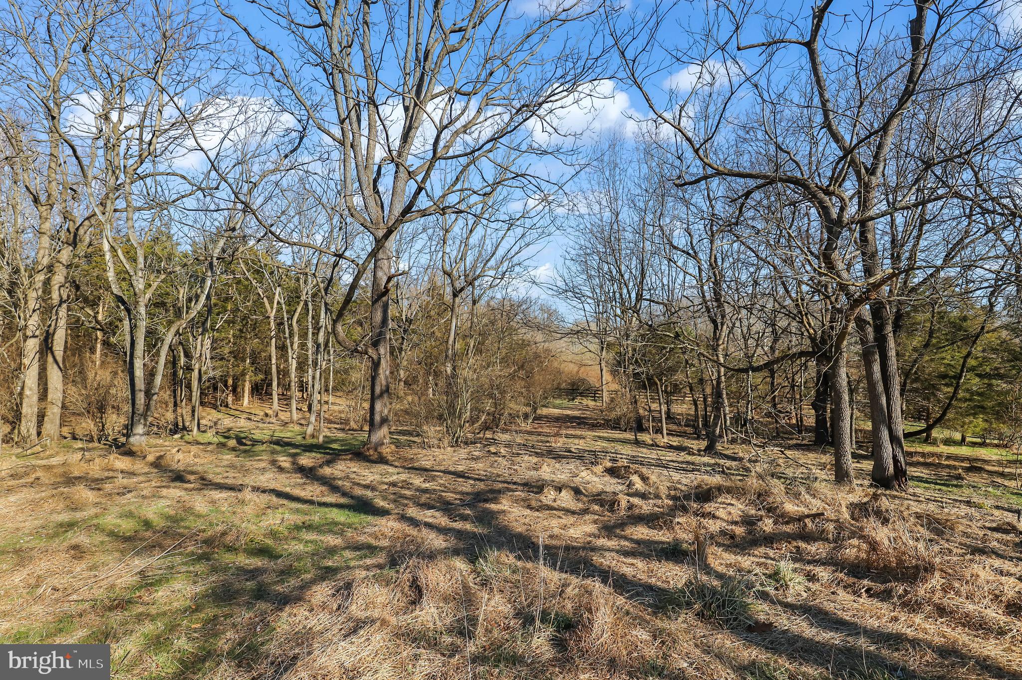 14517 Lightner Road Haymarket, VA 20169 - Photo 72 of 91 Gallery Image 72