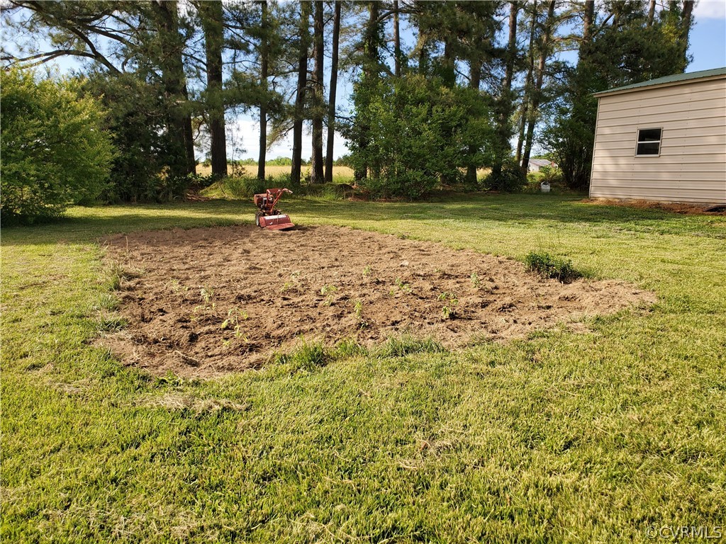 325 John Randolph Road Farmville, VA 23901 - Photo 4 of 16