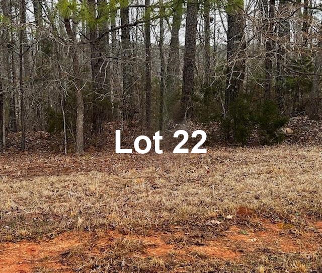 401 Terrapin Pointe Road Hodges, SC 29653 - Photo 2 of 12
