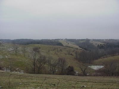 4546 Lemon Northcutt Road Dry Ridge, KY 41035 - Photo 5 of 5
