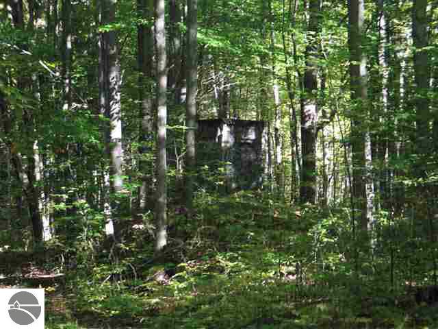 4863 Taber Road South Branch, MI 48761 - Photo 2 of 9 1763560-1.JPG