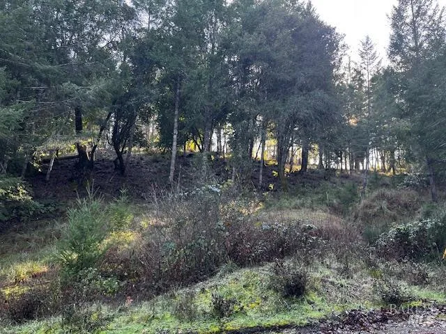 $12,500 | 24583 Cypress Drive, Willits, CA 95490