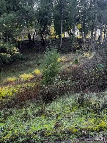 $12,500 | 24583 Cypress Drive, Willits, CA 95490