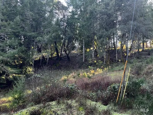 $12,500 | 24583 Cypress Drive, Willits, CA 95490