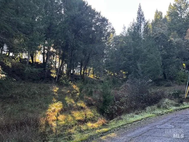 $12,500 | 24583 Cypress Drive, Willits, CA 95490