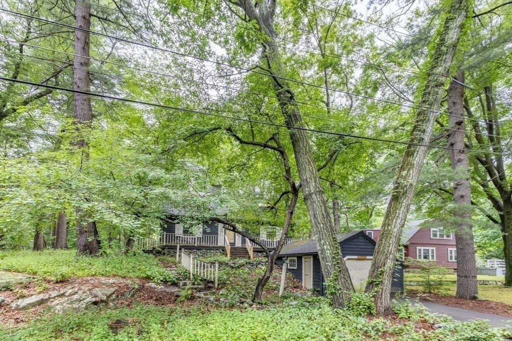 19 Forest Road Wakefield, MA 01880 - Photo 29 of 30 a view of backyard with plants and large trees