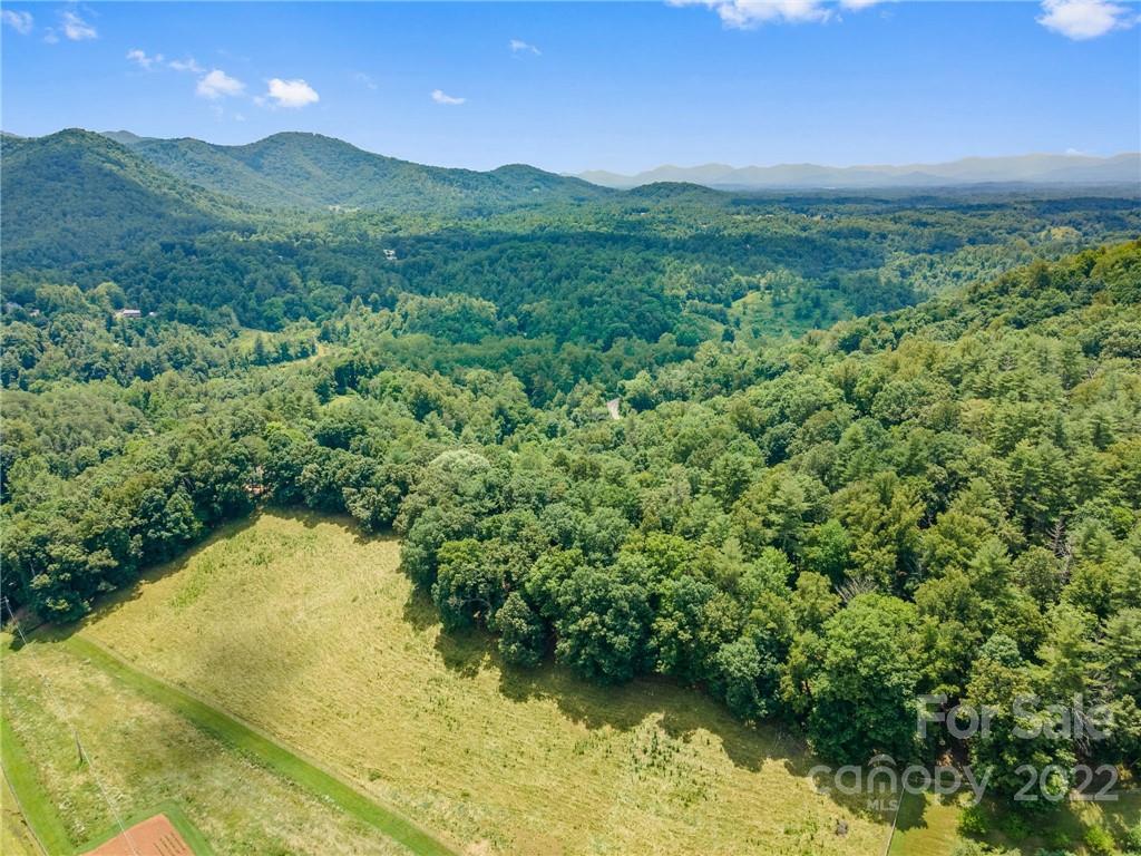 39 McKinney Road Weaverville, NC 28787 - Photo 28 of 29 Gallery Image 28