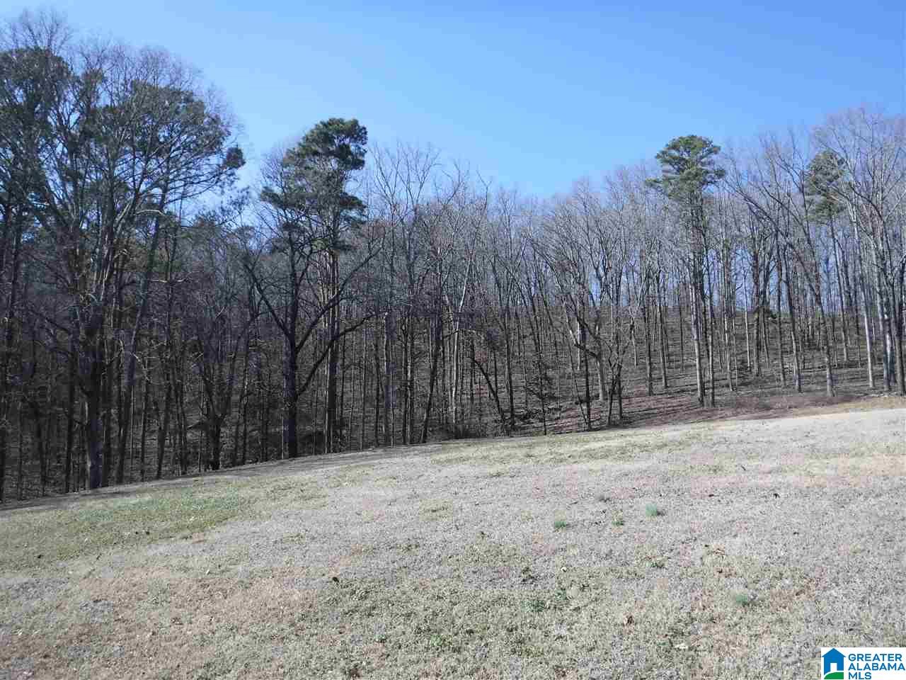 208 Tucker Lane Springville, AL 35146 - Photo 47 of 48