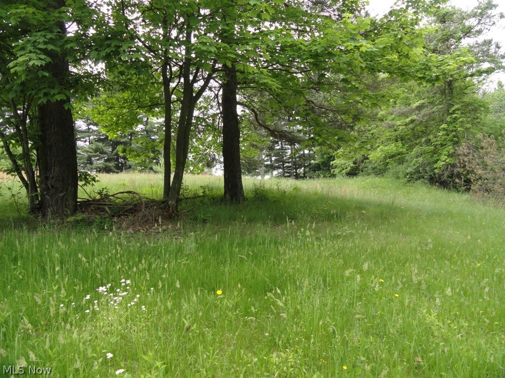 2642 Allison Road Chester, WV 26034 - Photo 26 of 35