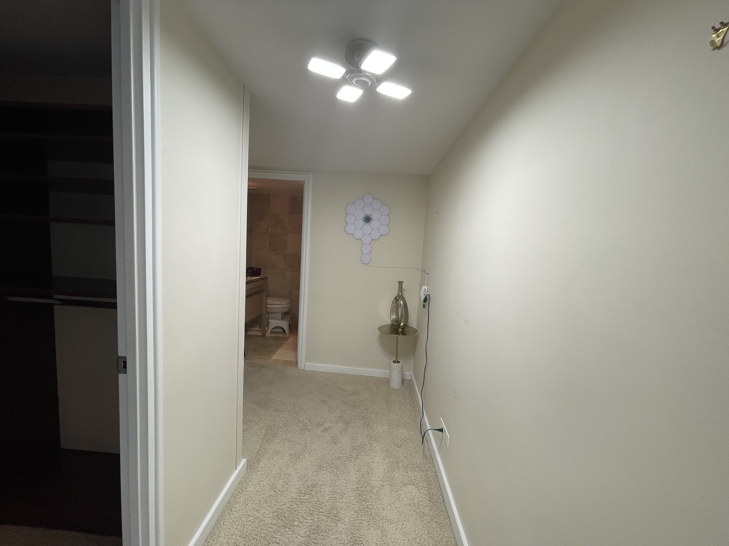 175 East Delaware Place, Unit 6206 Chicago, IL 60611 - Photo 19 of 28