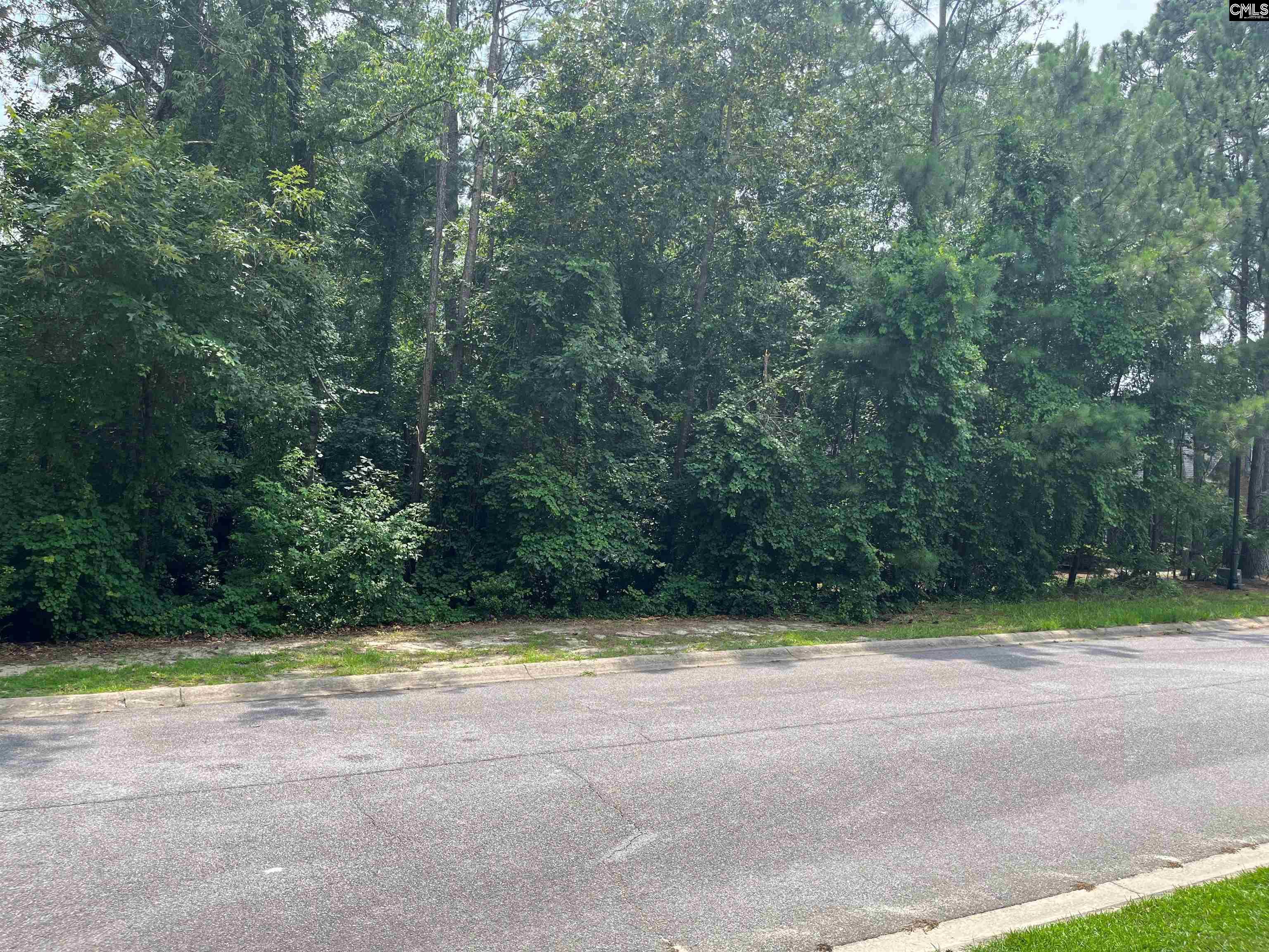 200 Deer Crossing Road Elgin, SC 29045 - Photo 5 of 11