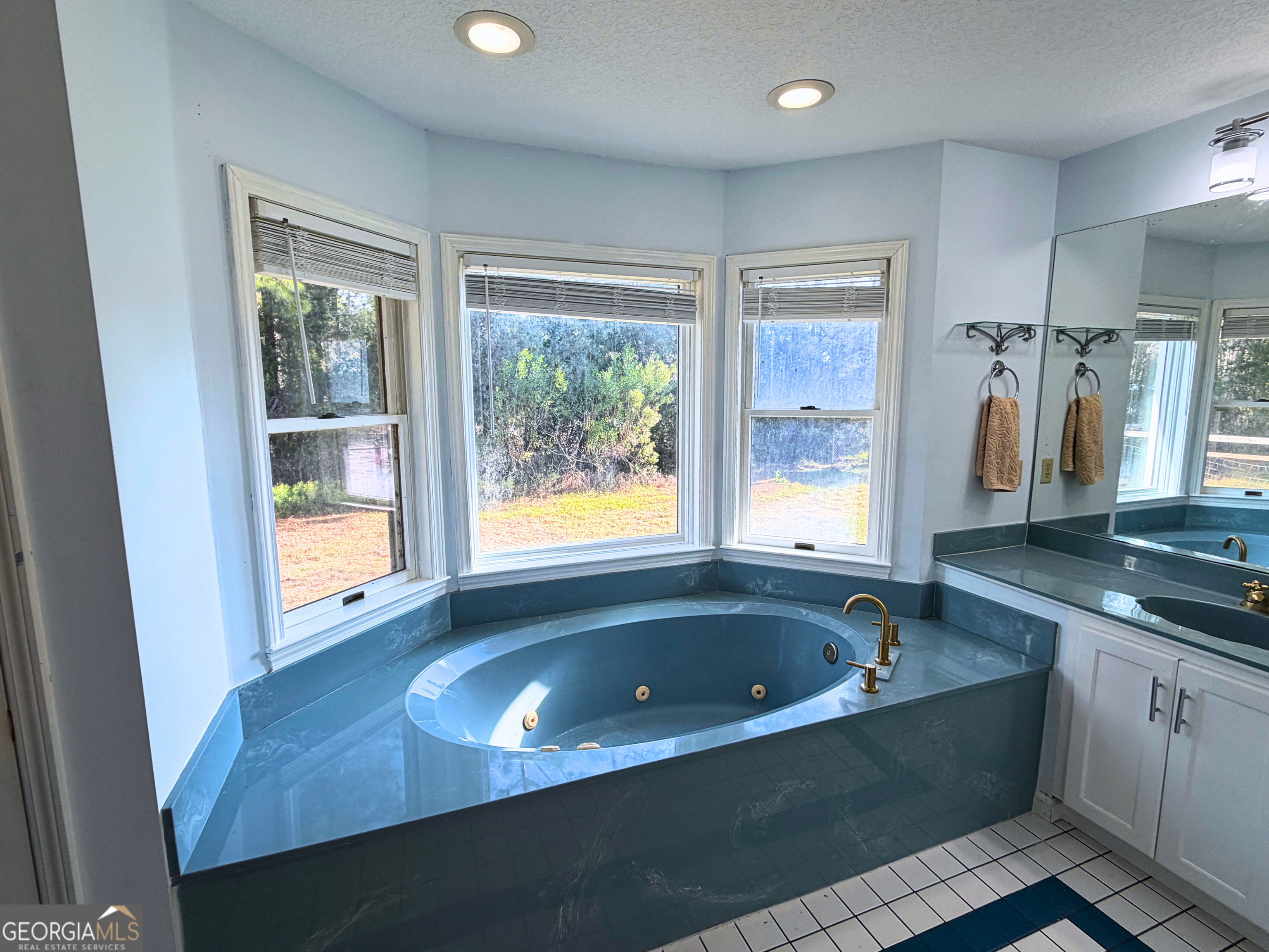1818 Union Carbide Road Woodbine, GA 31569 - Photo 16 of 33 a bathroom with a bathtub sink and mirror