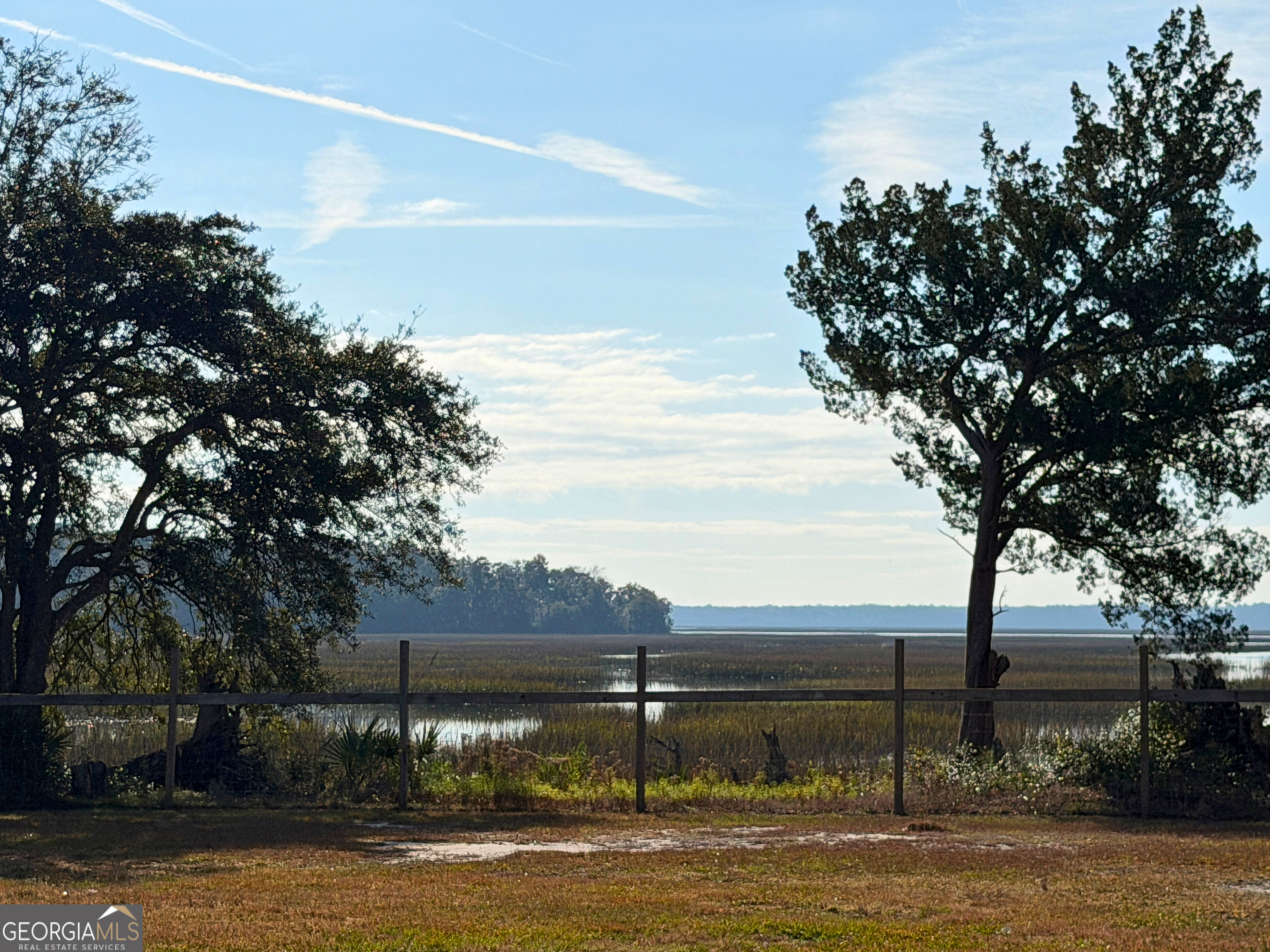 1818 Union Carbide Road Woodbine, GA 31569 - Photo 31 of 33 a view of a swimming pool with a yard and large tree