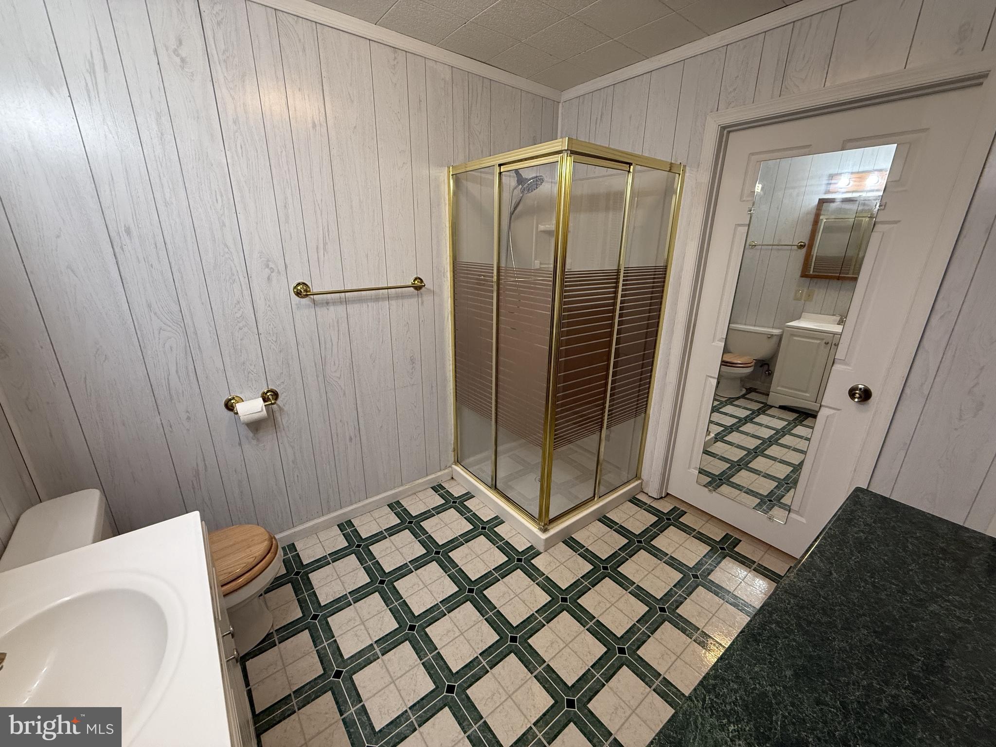21 Coolidge Road Inwood, WV 25428 - Photo 79 of 80 Lower-Level 3/4 Bath