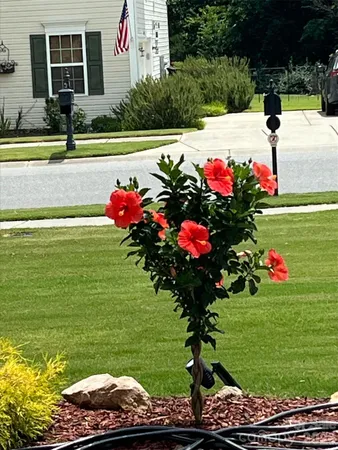 a view of a house with a swimming pool and a yard