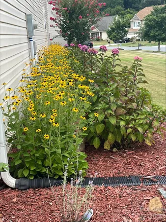 a view of a garden with plants