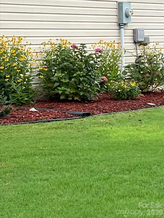 a view of a yard with a lot of plants
