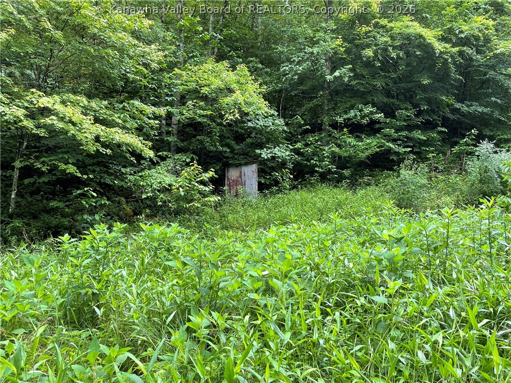 68 Meadow Branch Road Bomont, WV 25030 - Photo 13 of 17 Gallery Image 13