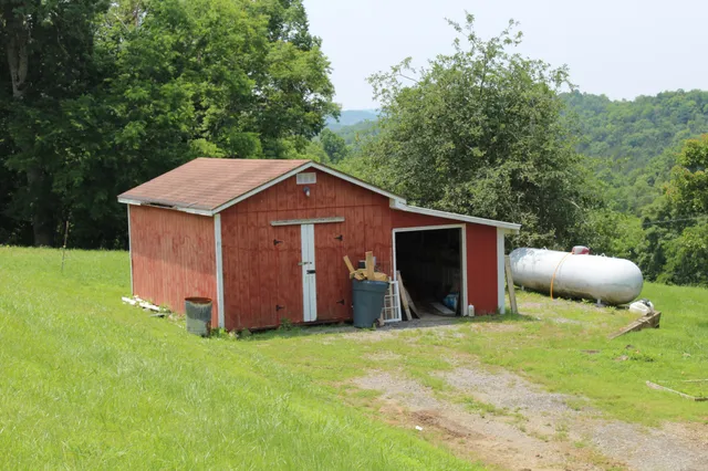 a view of a garden with a tree in the background