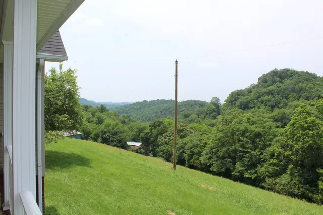 a view of a bunch of trees