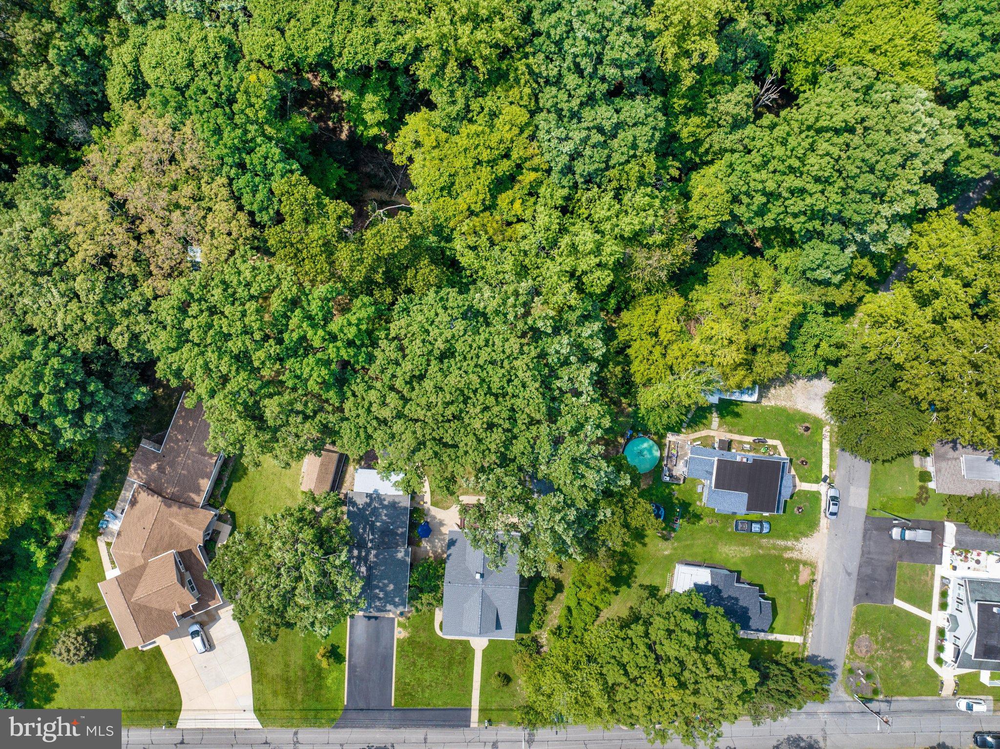 522 Old Hammonds Ferry Road Linthicum Heights, MD 21090 - Photo 72 of 109 Lush greenery surrounds charming homes below.