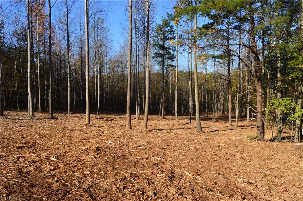 5820 Chrismon Road Browns Summit, NC 27214 - Photo 1 of 27 Gallery Image 1